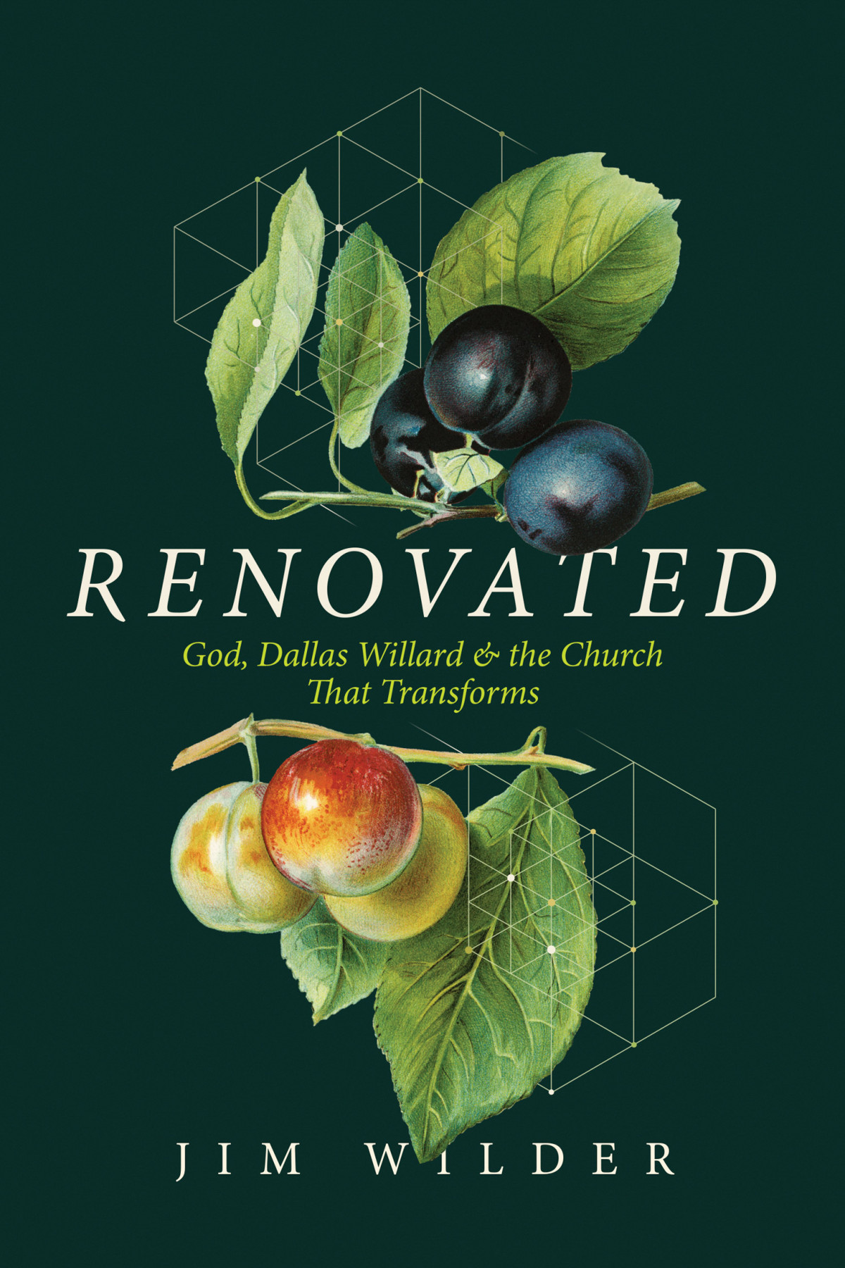 Renovated Jim Wilder