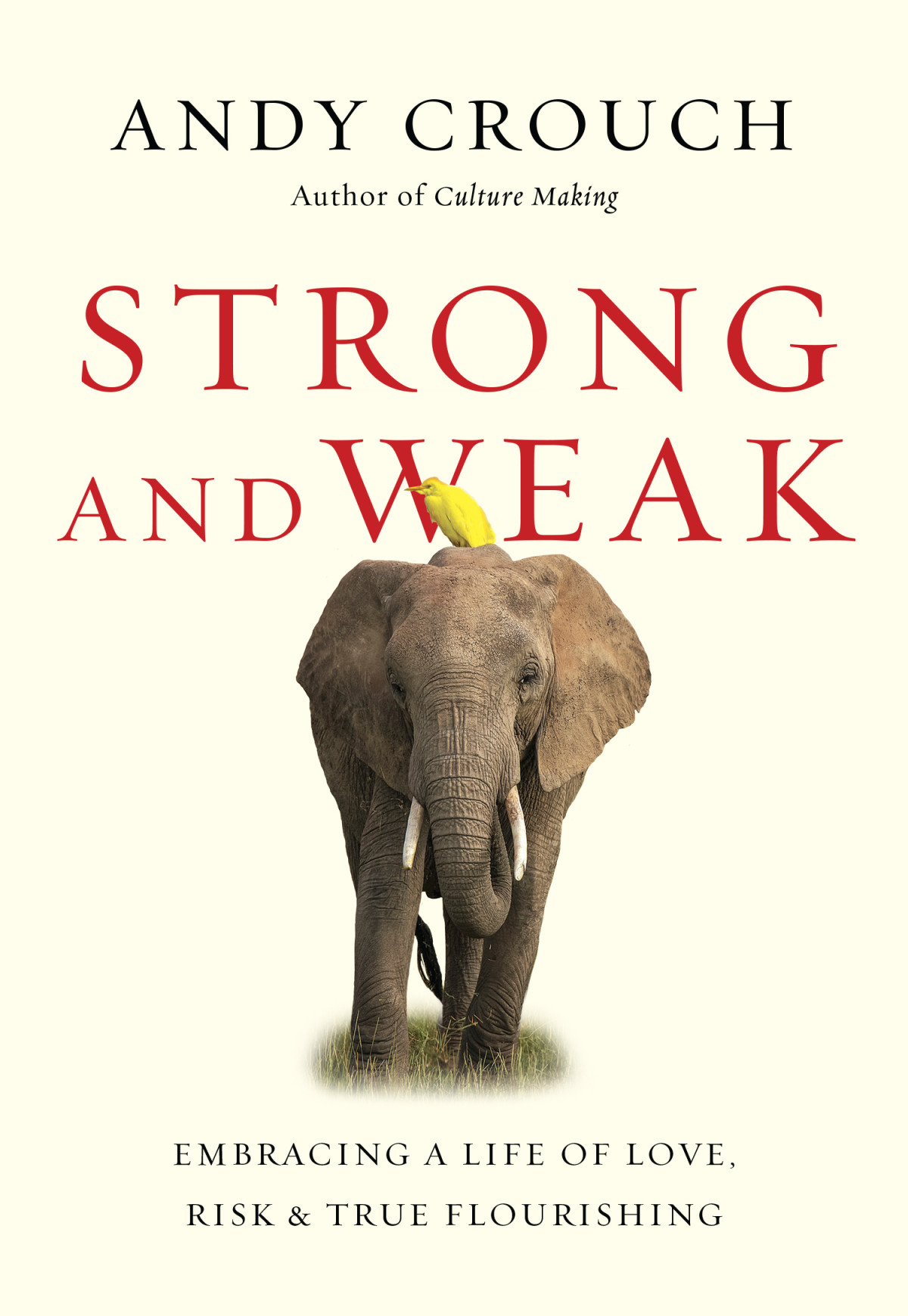 Strong And Weak Andy Crouch