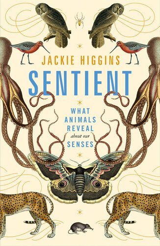 Sentient What Animals Reveal About Our Senses Main Market Jackie Higgins