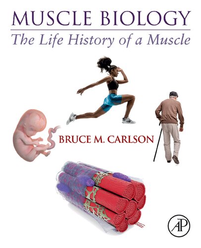 Muscle Biology The Life History Of A Muscle 1st Edition Bruce M Carlson
