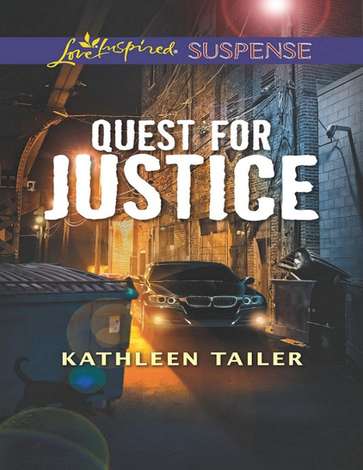 Quest For Justice Kathleen Tailer