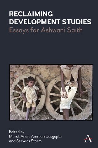 Reclaiming Development Studies Essays For Ashwani Saith Murat Arsel Editor