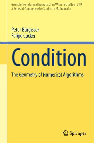 Condition The Geometry Of Numerical Algorithms Peter Brgisser