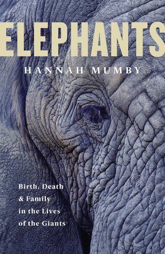 Elephants Birth Death And Family In The Lives Of The Giants Hannah Mumby