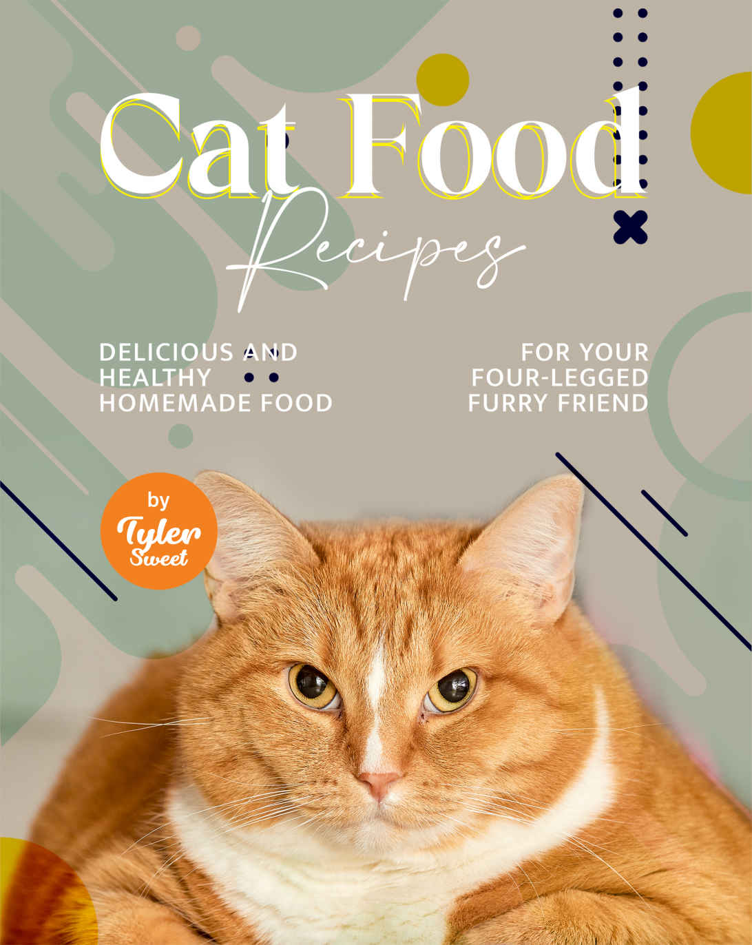 Cat Food Recipes Delicious And Healthy Homemade Food For Your Fourlegged Furry Friend 1st Edition Tyler Sweet