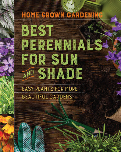 Best Perennials For Sun And Shade Houghton Mifflin Harcourt