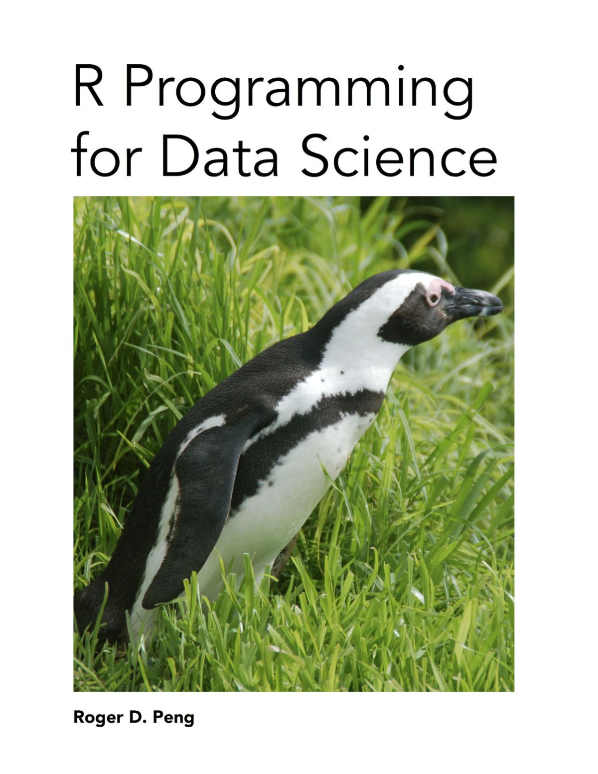 R Programming For Data Science 5th Edition Roger D Peng