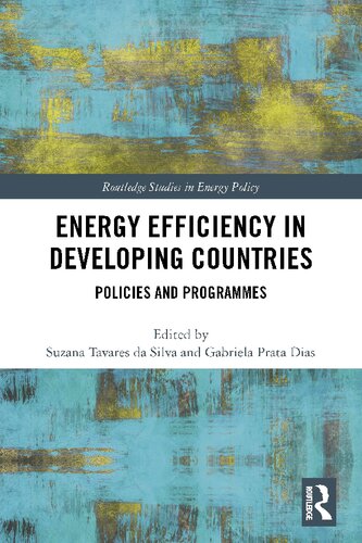 Energy Efficiency In Developing Countries Policies And Programmes 1st Edition Suzana Tavares Da Silva