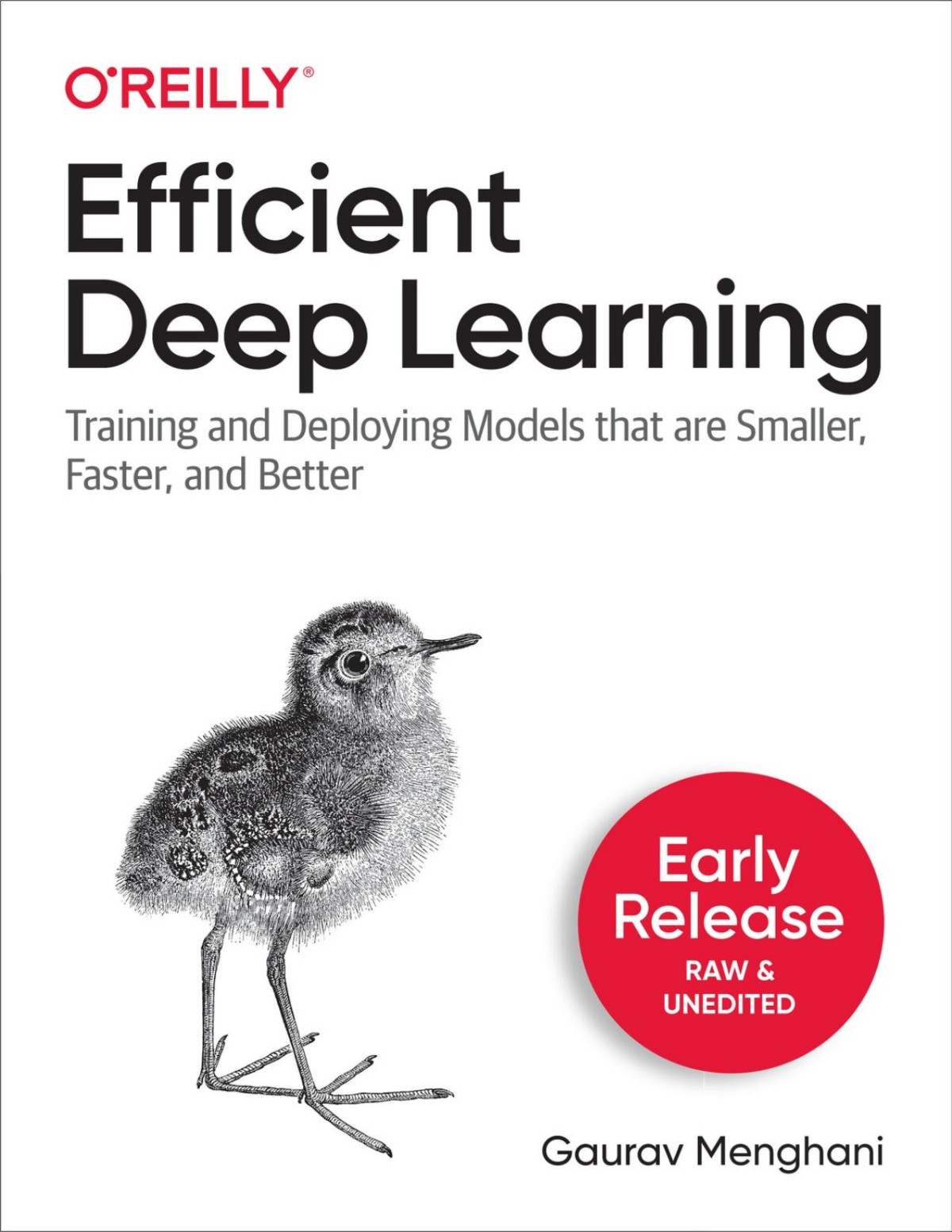 Efficient Deep Learning Gaurav Menghani