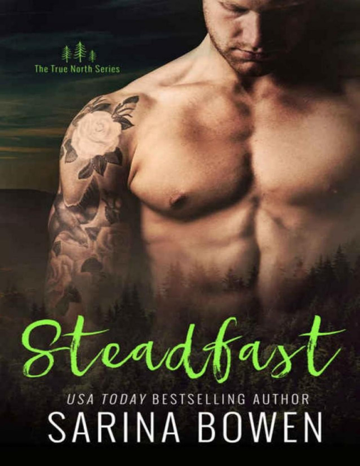 Steadfast True North 2 Sarina Bowen