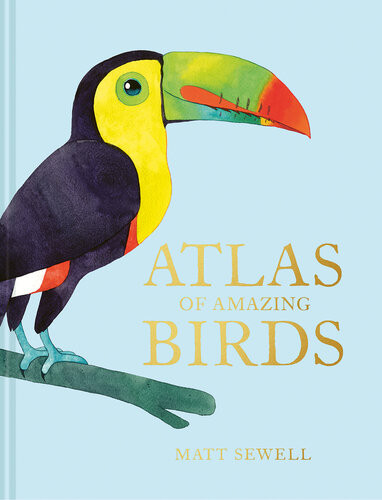 Atlas Of Amazing Birds 1st Edition Matt Sewell