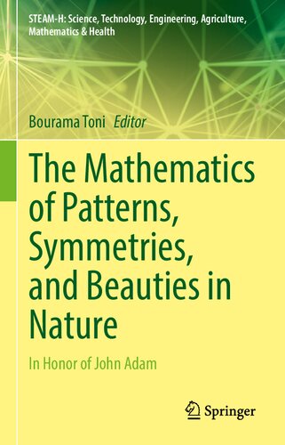 The Mathematics Of Patterns Symmetries And Beauties In Nature 1st Ed 2021