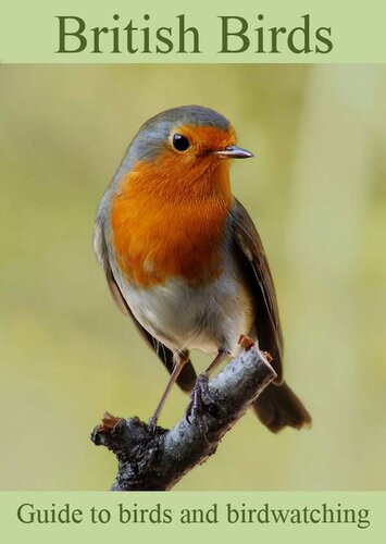 British Birds Colin Salter