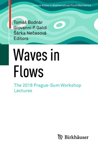 Waves In Flows Tom Bodnr Giovanni P Galdi Rka Neasov