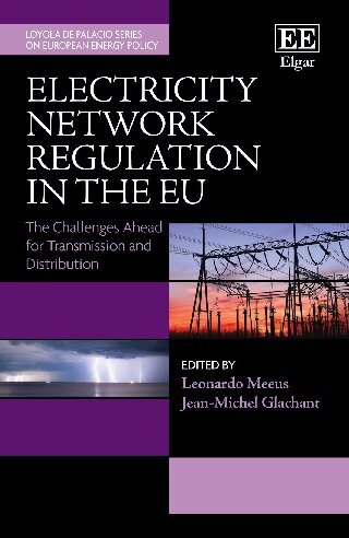 Electricity Network Regulation In The Eu The Challenges Ahead For Transmission And Distribution Leonardo Meeus Editor