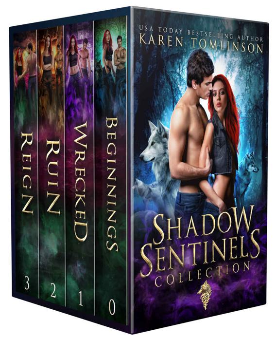 The Shadow Sentinels Collection 1st Edition Karen Tomlinson