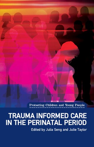 Trauma Informed Care In The Perinatal Period First Editionnew Julia Seng