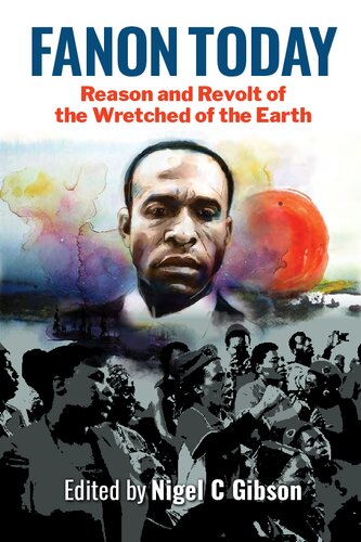 Fanon Today Reason And Revolt Of The Wretched Of The Earth Nigel C Gibson