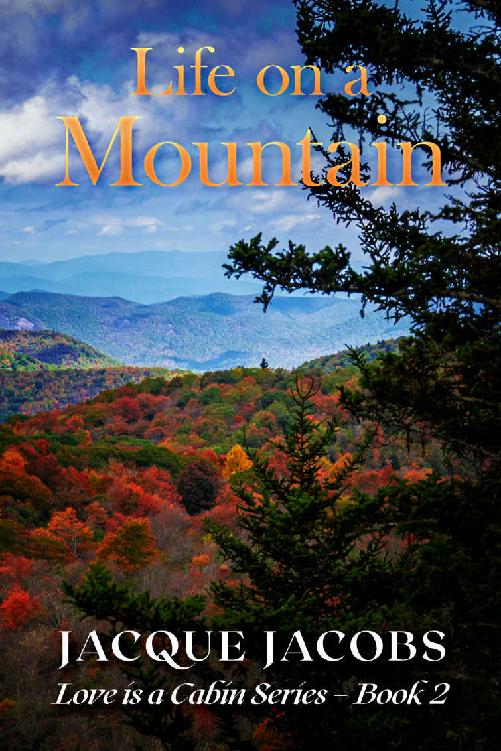 Life On A Mountain Love Is A Cabin 02 Jacque Jacobs