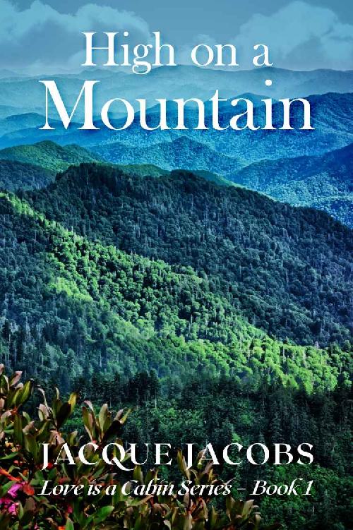 High On A Mountain Love Is A Cabin 01 Jacque Jacobs