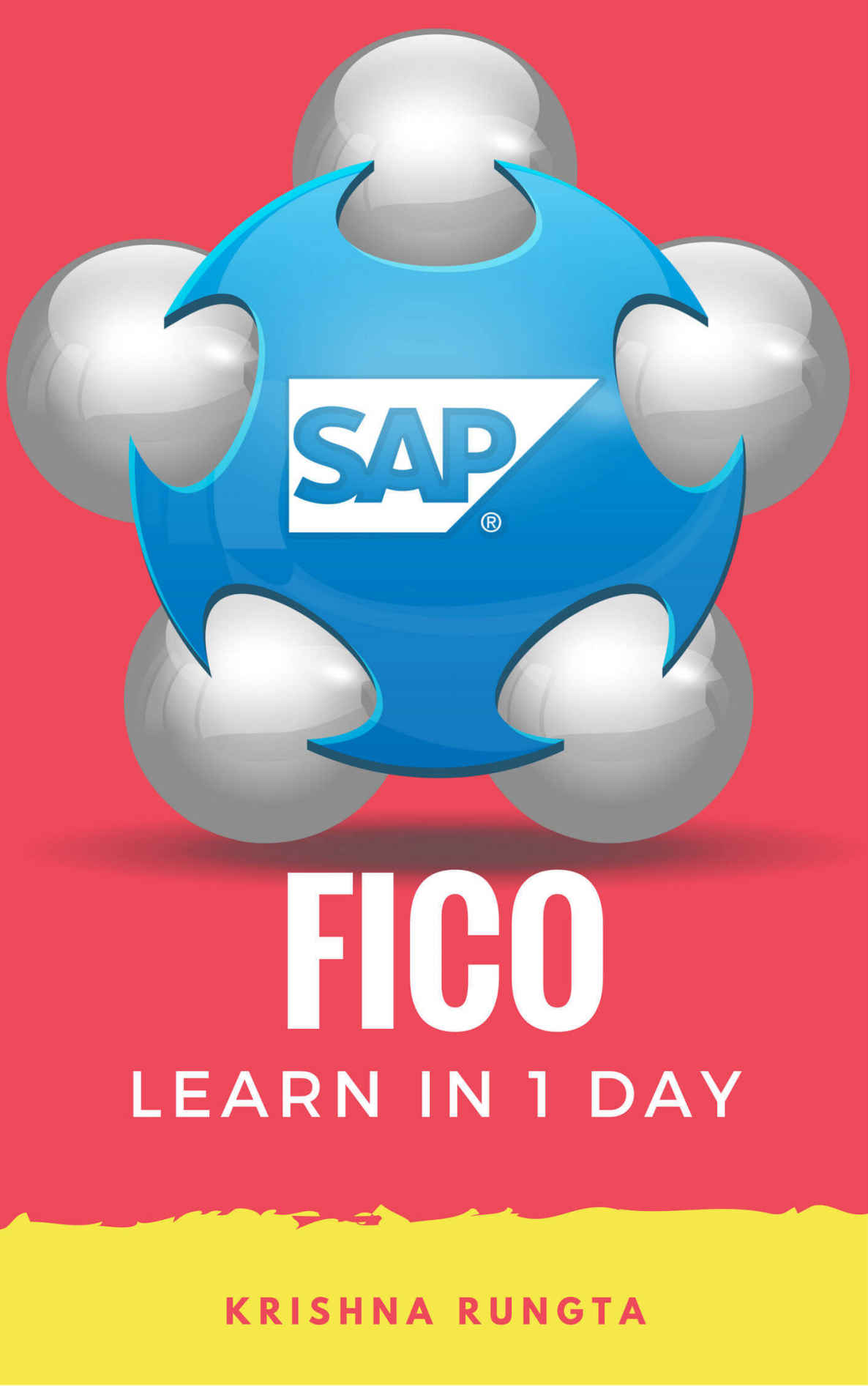 Learn Sap Fico In 1 Day Definitive Guide To Learn Sap Fico Erp Rungta
