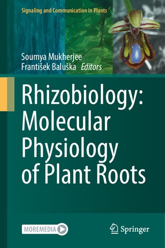 Rhizobiology Molecular Physiology Of Plant Roots 1st Edition Soumya Mukherjee