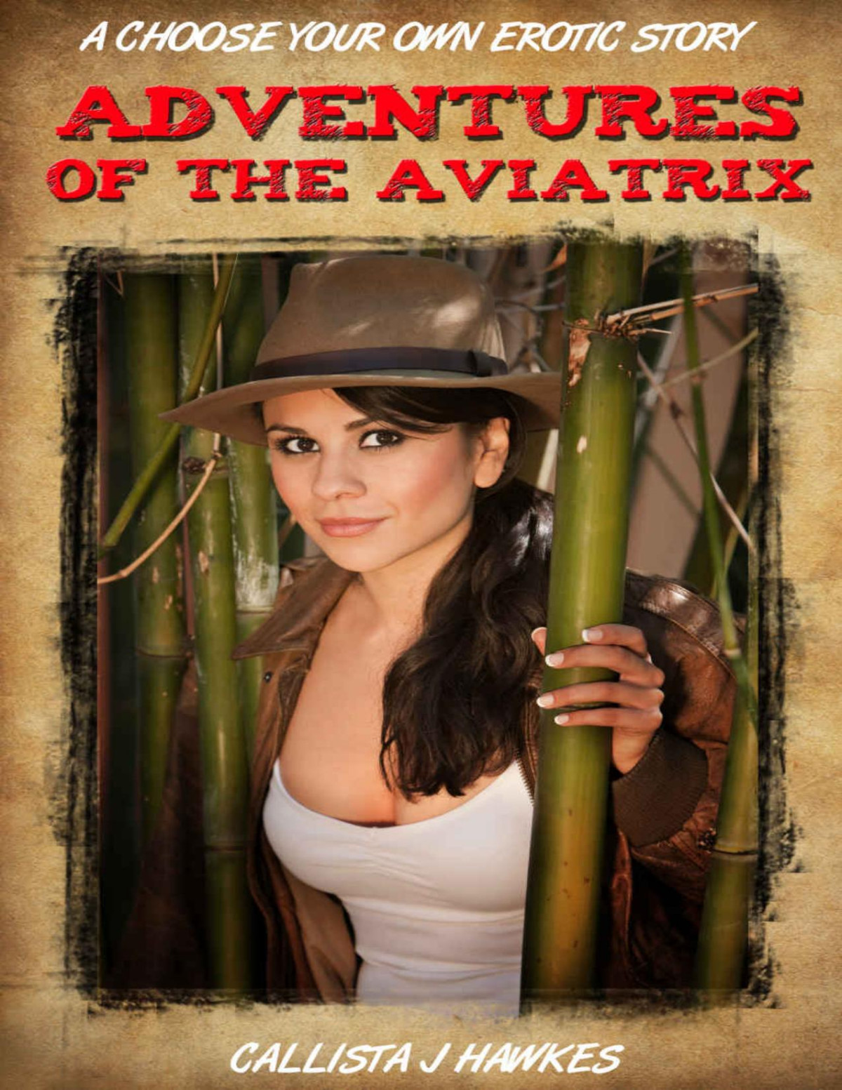Adventures Of The Aviatrix A Choose Your Own Erotic Story Callista Hawkes