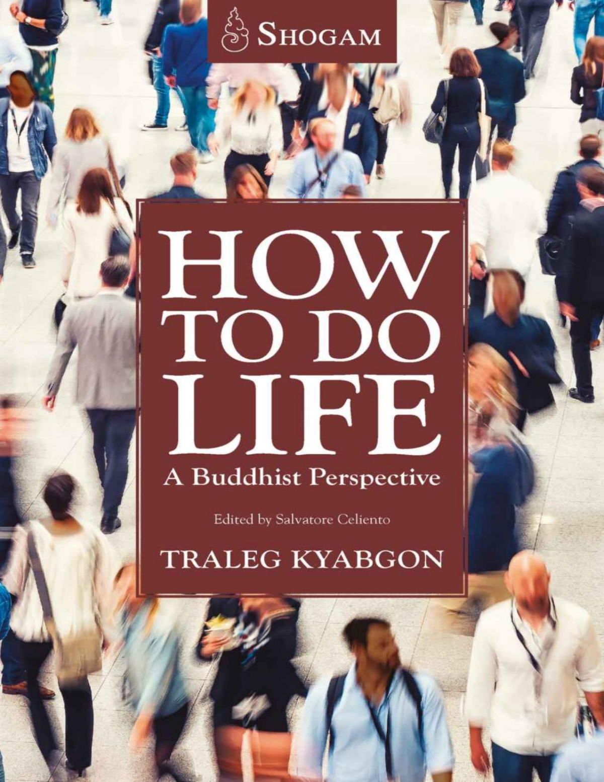 How To Do Life A Buddhist Perspective Traleg Kyabgon Edited By Salvatore Celiento