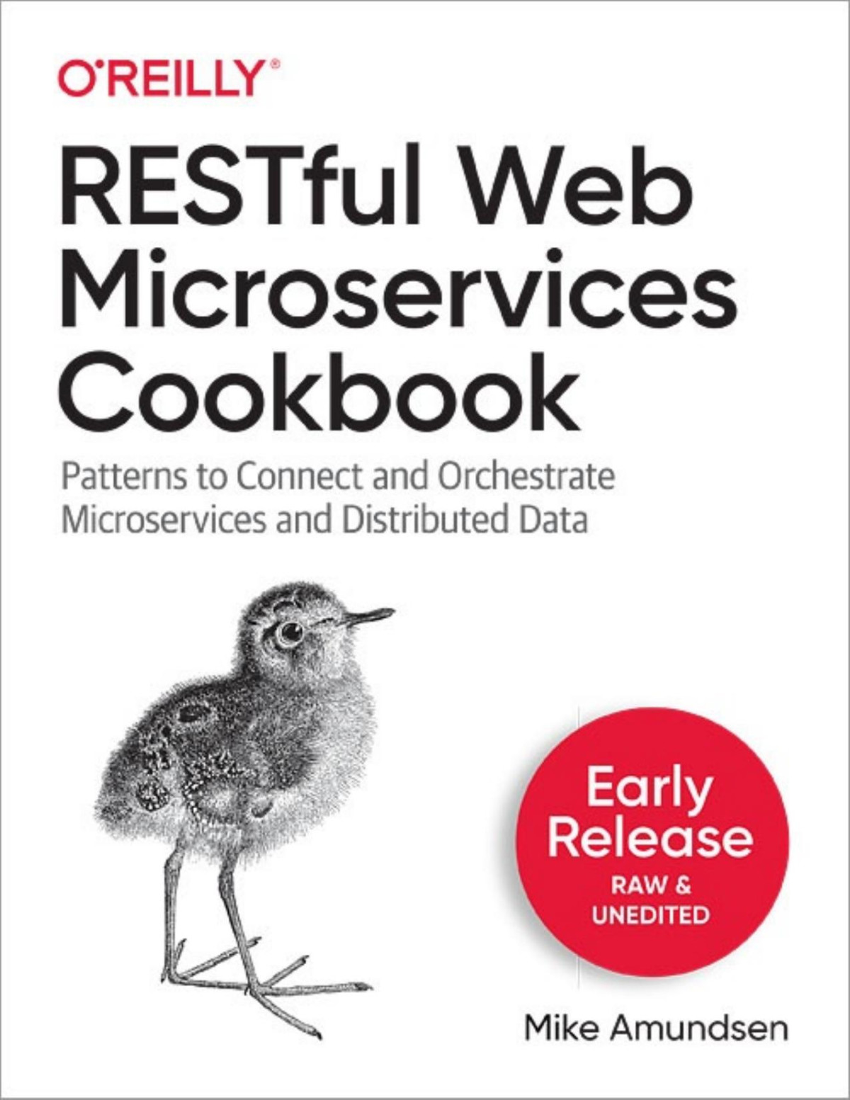 Restful Web Microservices Cookbook Second Early Release Mike Amundsen