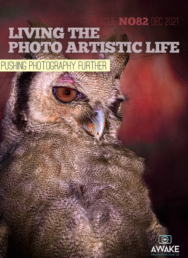 Living The Photo Artistic Life December 2021 Living The Photo Artistic Life