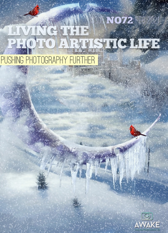 Living The Photo Artistic Life February 2021 Living The Photo Artistic Life