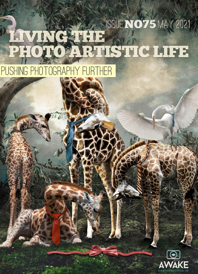 Living The Photo Artistic Life May 2021 Living The Photo Artistic Life
