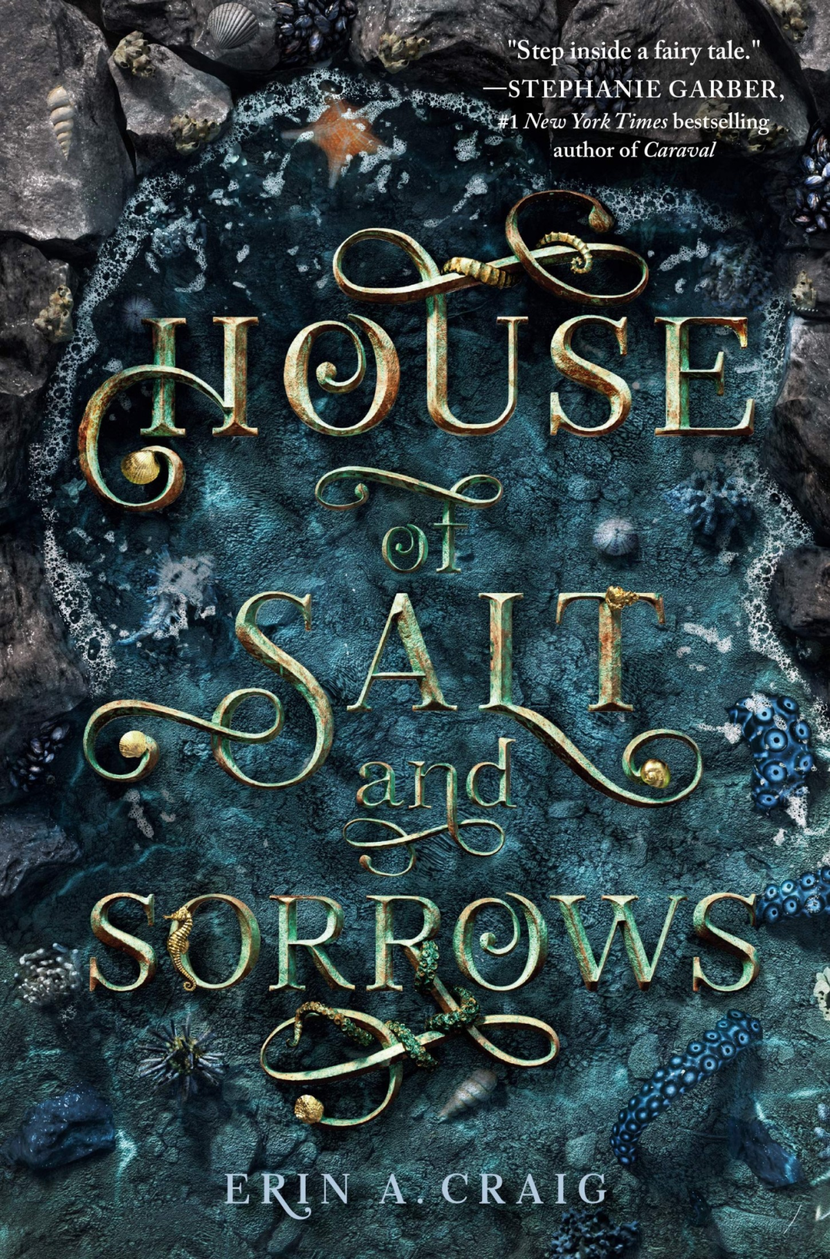 House Of Salt And Sorrows Erin A Craig