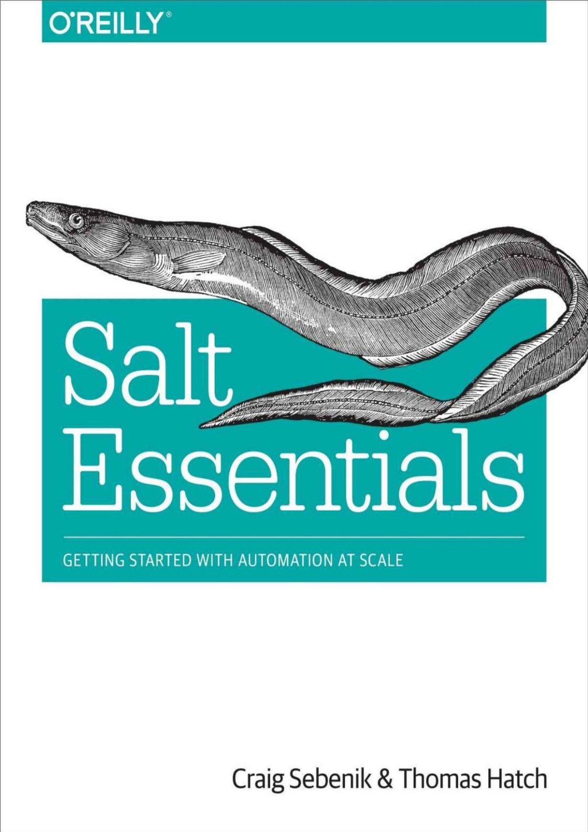 Salt Essentials Craig Sebenik Thomas Hatch Sebenik Craig
