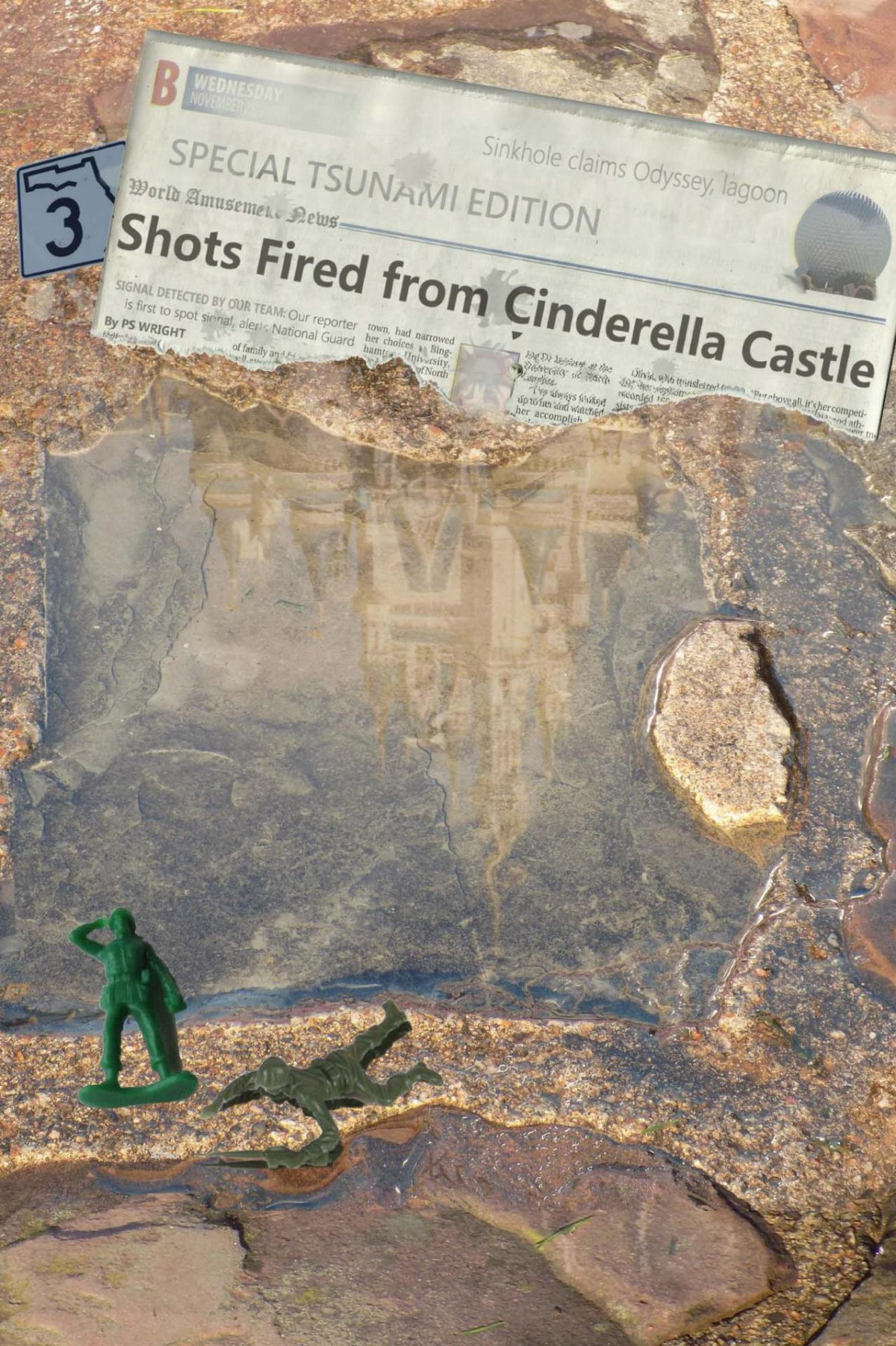 3 Shots Fired From Cinderella Castle P S Wright