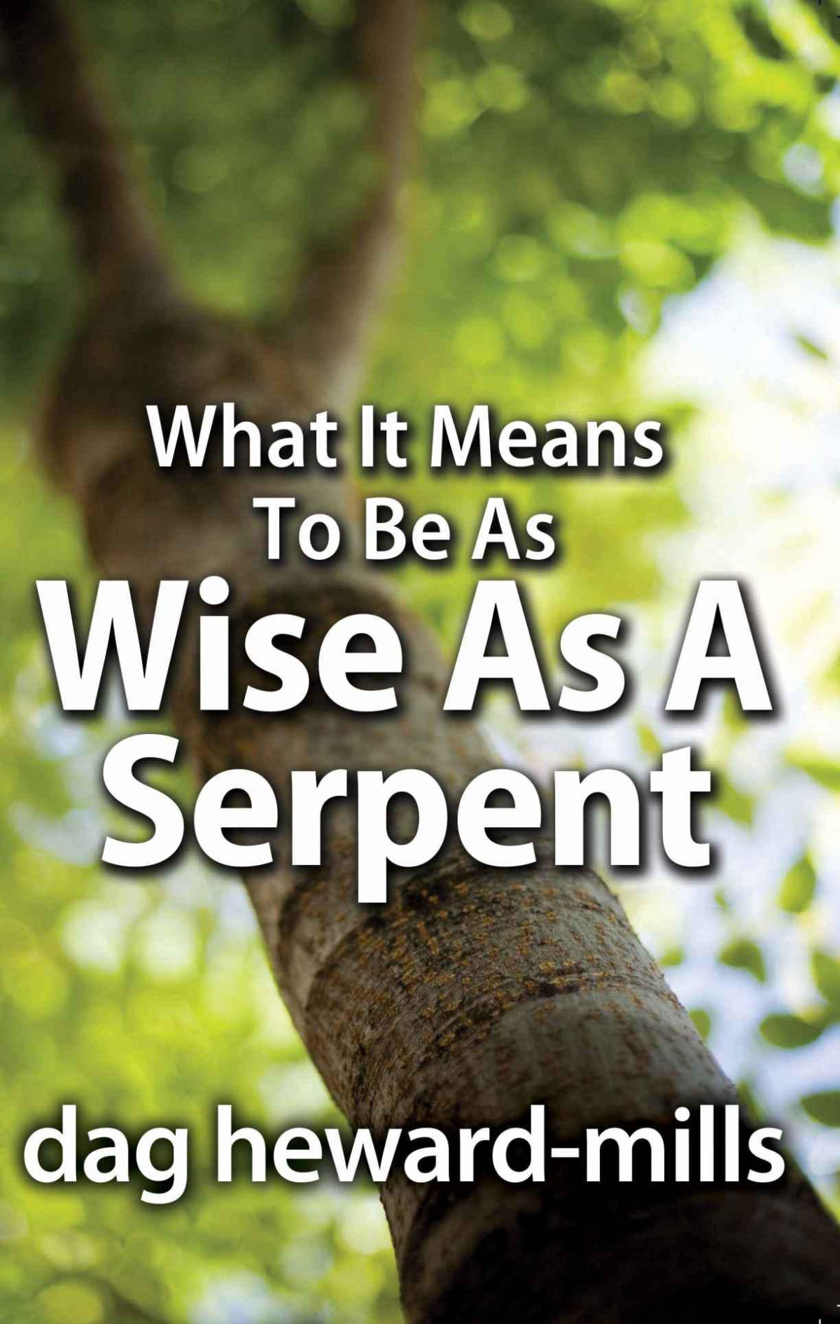What It Means To Be Wise As A Serpent Dag Hewardmills
