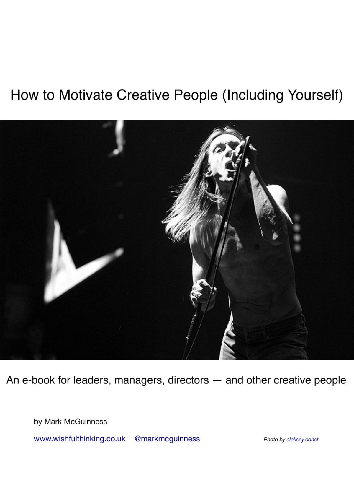 Motivation An Ebook For Leaders Managers Directors And Other Creative People Mark Mcguinness