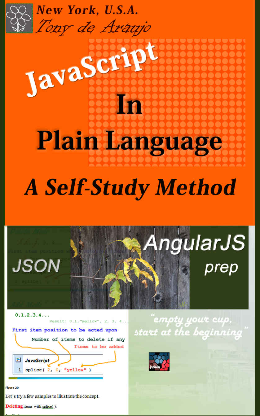 Javascript In Plain Language A Selfstudy Method Json And Angularjs Prep De Araujo