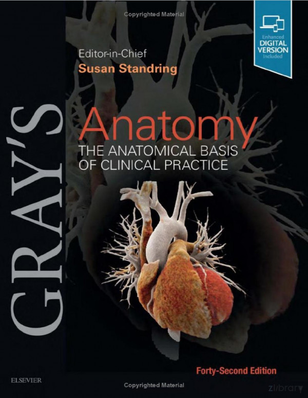 Grays Anatomy The Anatomical Basis Of Clinical Practice 42nd Edition 42th Edition Susan Standring