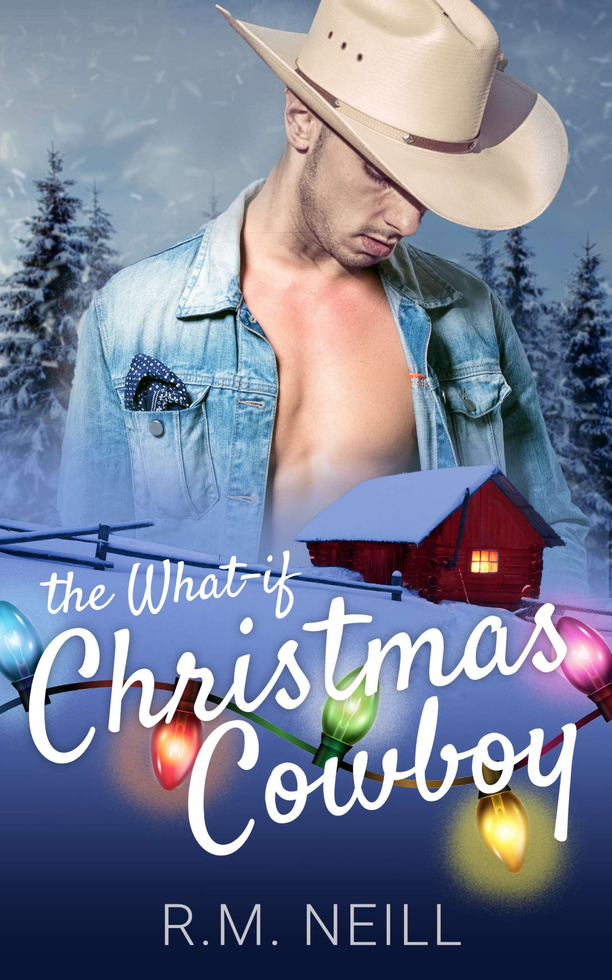 The Whatif Christmas Cowboy Rm Neill