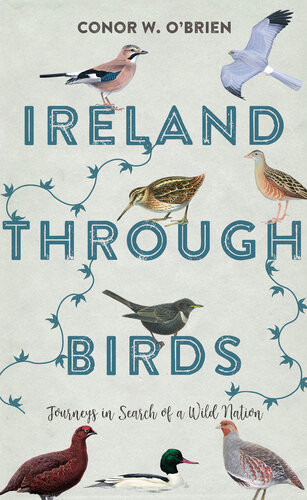 Ireland Through Birds Journeys In Search Of A Wild Nation Conor W Obrien