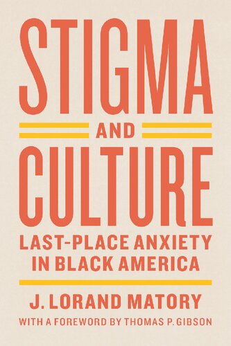 Stigma And Culture Lastplace Anxiety In Black America 1st Edition J Lorand Matory