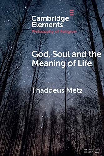 God Soul And The Meaning Of Life Thaddeus Metz