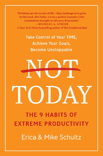 Not Today The 9 Habits Of Extreme Productivity Erica Mike Schultz