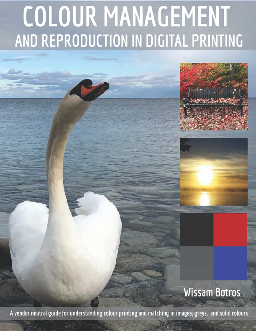 Color Management And Reproduction In Digital Printing A Vendor Neutral Guide For Understanding Colour Printing And Matching In Images Greys And Solid Colours Wissam Botros