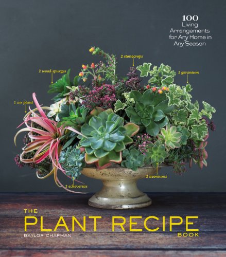 The Plant Recipe Book 100 Living Centerpieces For Any Home In Any Season 100 Living Arrangements For Any Home In Any Season Illustrated Baylor Chapman