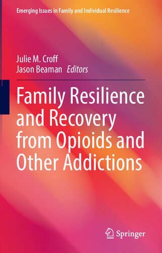 Family Resilience And Recovery From Opioids And Other Addictions 1st Ed 2021 Julie M Croff Editor