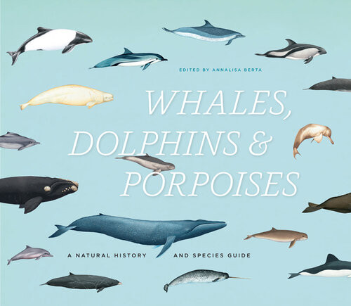 Whales Dolphins And Porpoises A Natural History And Species Guide Illustrated Annalisa Berta
