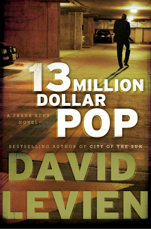 Thirteen Million Dollar Pop David Levien