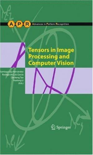 Tensors In Image Processing And Computer Vision Santiago Ajafernandez Rodrigo De Luis Garca Dacheng Tao Xuelong Li